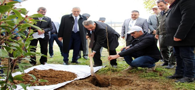 Ödemiş Belediyesi’nden Bereket Ormanları Projesi’ne Destek