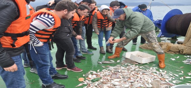 Mesleği, Uygulamalı Öğreniyorlar