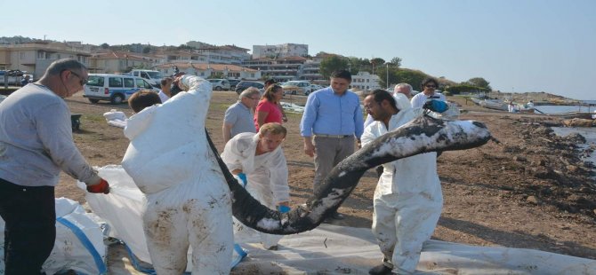 Aliağa Belediye Başkanı Serkan Acar’dan Foça’ya Destek