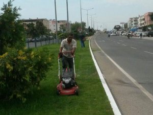 Daha Yeşil Bir Edremit İçin