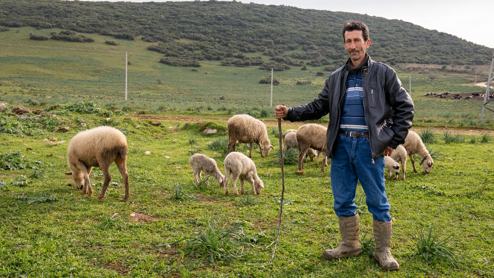 İzmir’in Çoban Haritası çıkarıldı