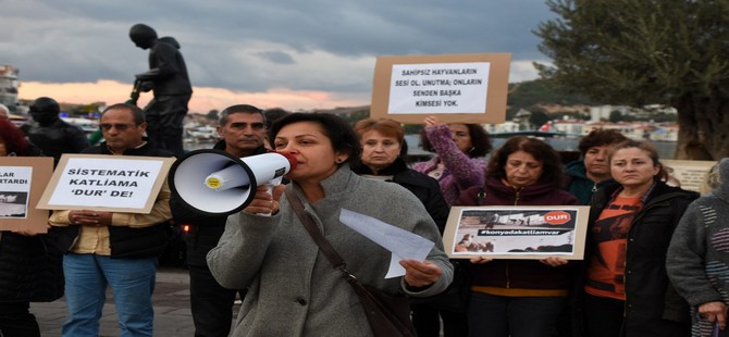 Hayvanlara Yönelik Şiddet Foça'da Protesto Edildi