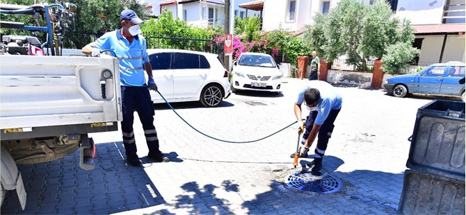 İklim krizi sivrisinek popülasyonunu artırdı