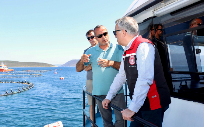 İzmir’deki Orkinos Çiftlikleri Dünyaya Açılıyor