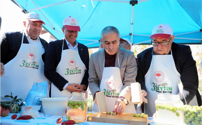 Aliağa’da 3. Zeytin Hasat Şenliği Düzenlendi