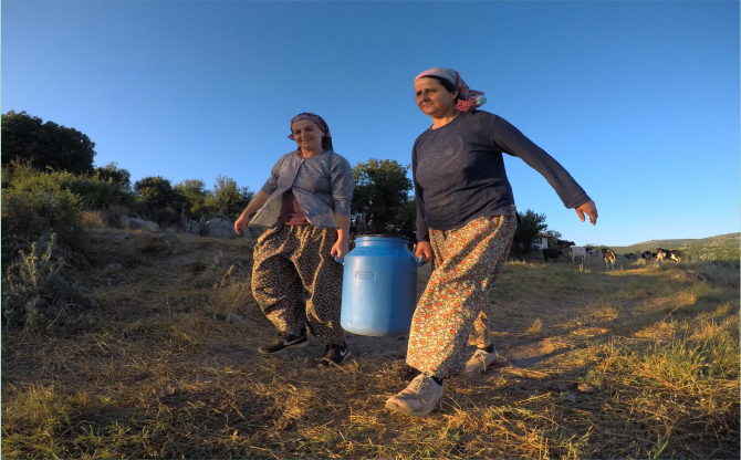 Süt Üreticilerinin Krizle Mücadelesi Devam Ediyor