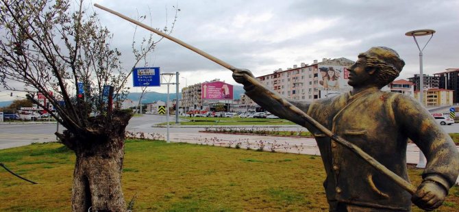 Edremit’te Zeytin Anıtına Makyaj