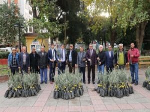 Turgutlu’da Üreticilere Zeytin Desteği