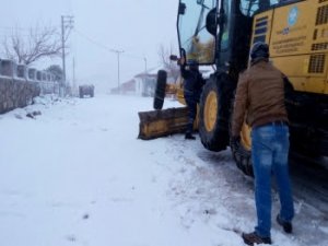 Büyükşehir’den Karla Etkin Mücadele