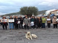 Hayvanlara Yönelik Şiddet Foça'da Protesto Edildi