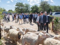 Başkan Tugay’dan Bergama’da altın madenine karşı birlik mesajı