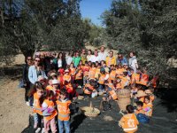 Aliağalı Minik Öğrenciler Şakran’da Zeytin Hasadı Yaptı