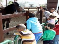 Karşıyakalı Çocukların Taypark Sevinci