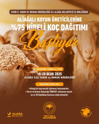 6-aliagali-koyun-ureticilerine-yuzde-75-hibeli-koc-dagitimi-basliyor-1.jpeg