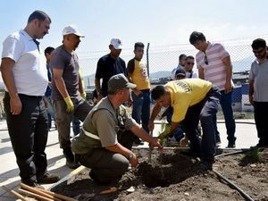 Aliağa’da Fidanlar Toprakla Buluştu